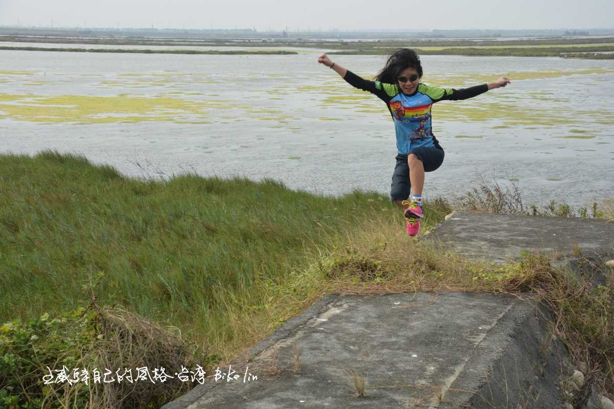 灑脫南瀛視野自己尋