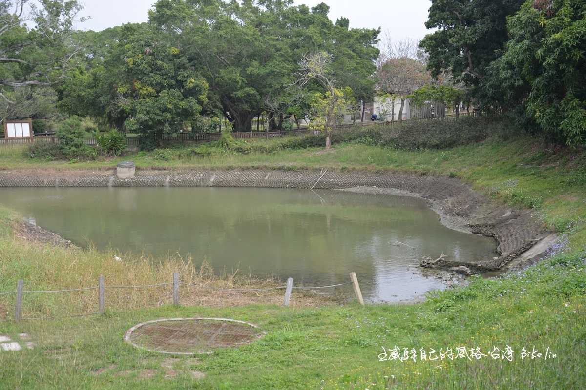 2006年「水崛頭遺址」重現古碼頭、古航道
