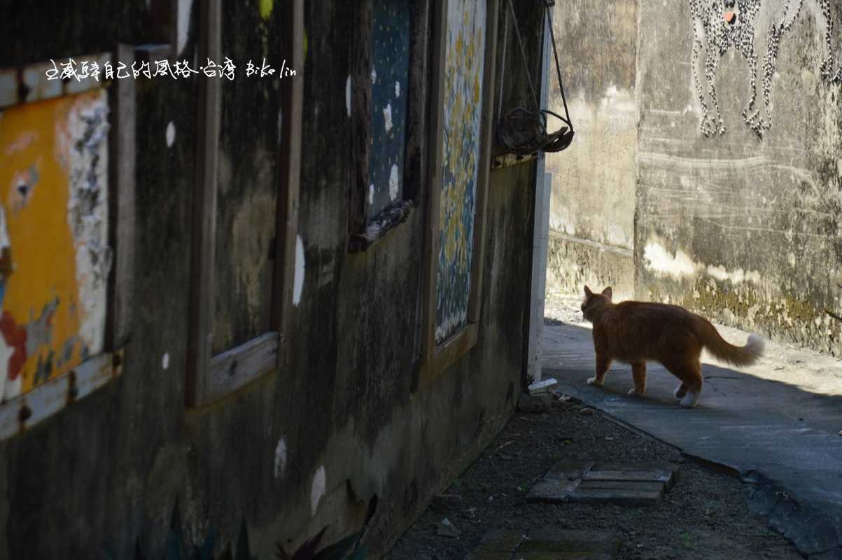 老貓優雅滑過老戲院小徑