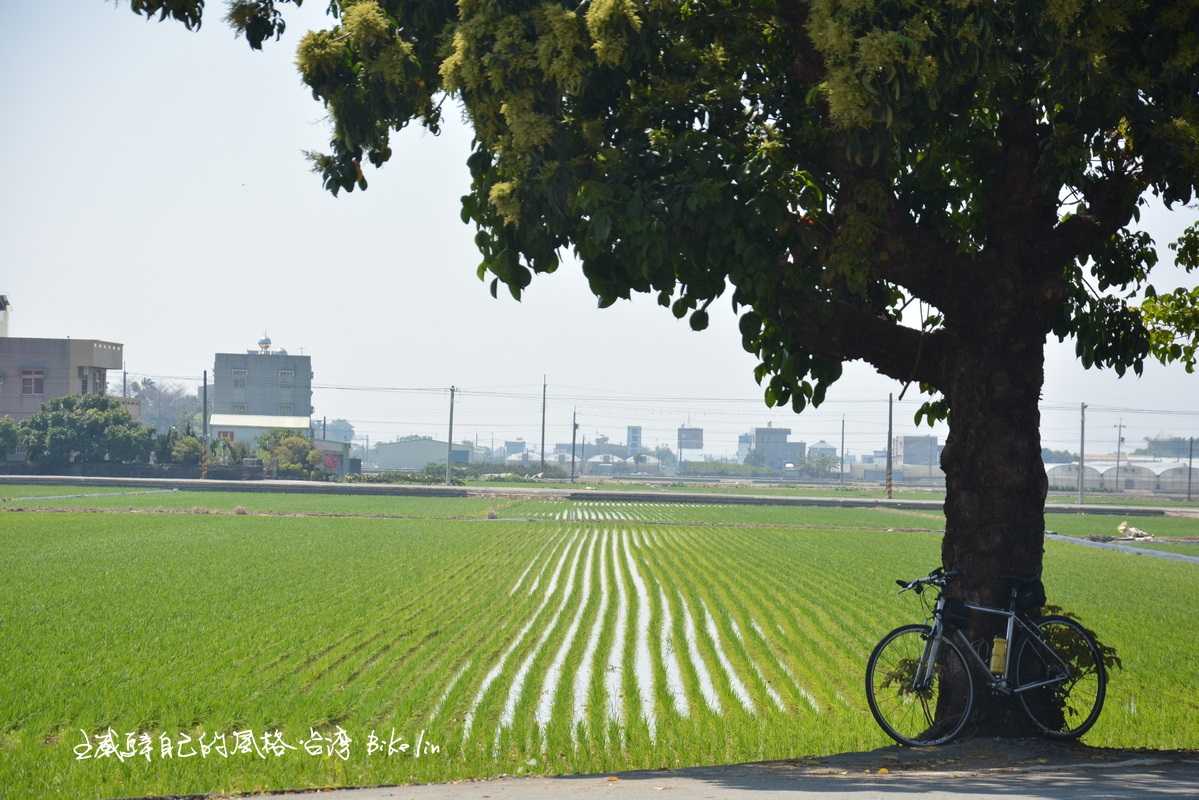水上塗溝村春天氣息