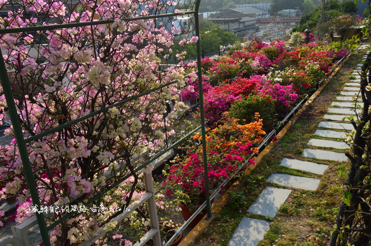 成功大學綠色魔法學校綠建築示範基地,屋頂花園可參訪。