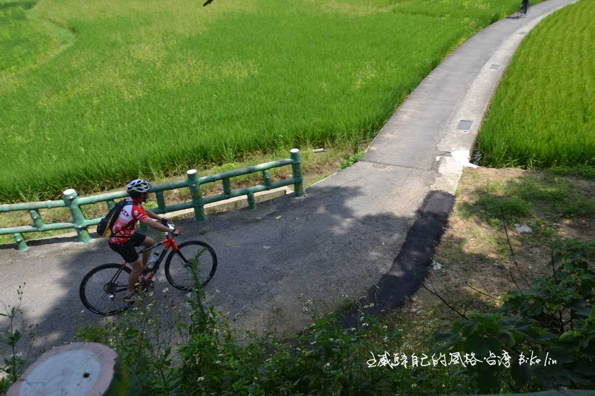 中興篤定路就在前方直直去