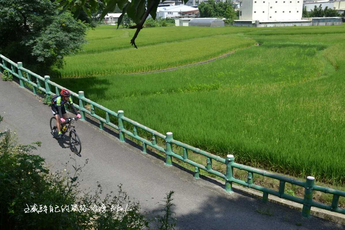 Jasmine霸氣而降