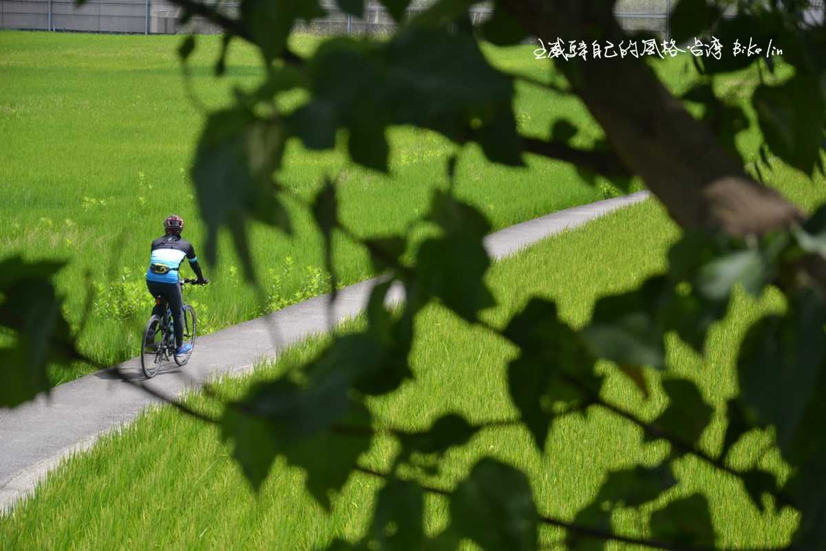 Jerry賴著打定主意淹沒在「茄苳埤田野」