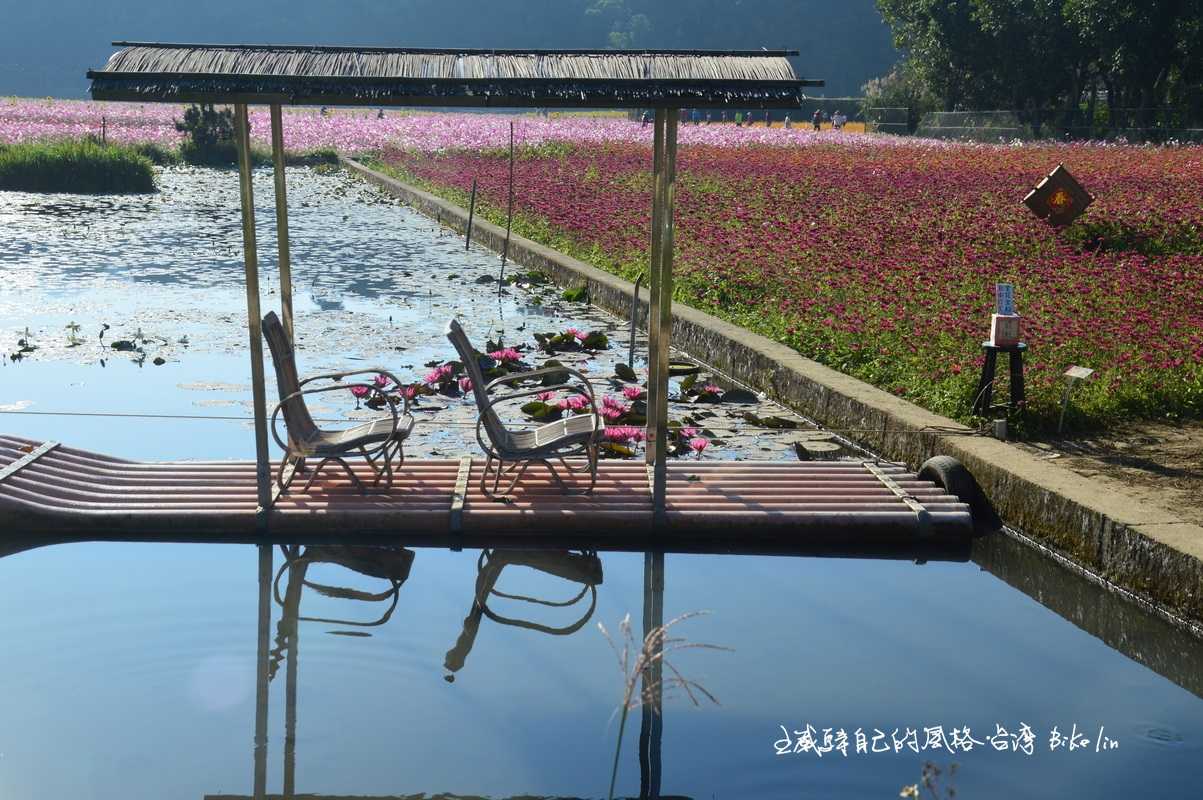 泛花海稱心小舟