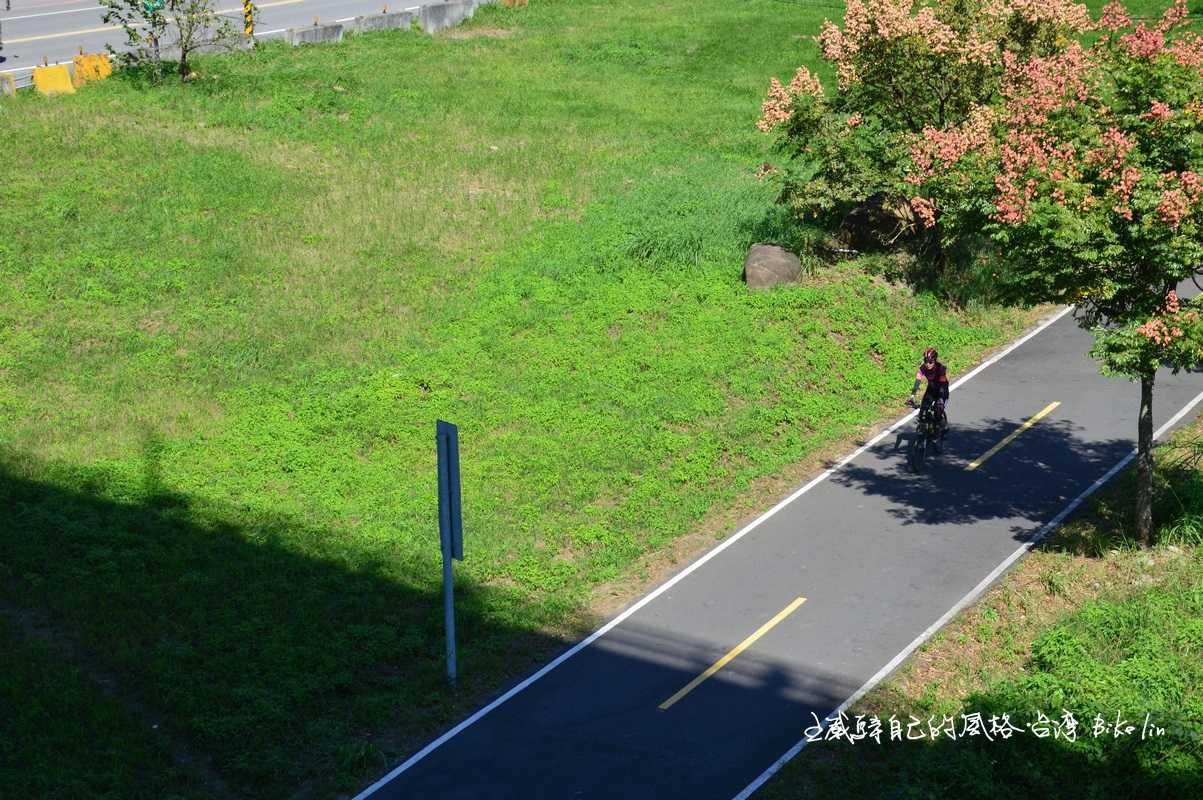 10月欒樹點綴在樹林往鶯歌自行車道上