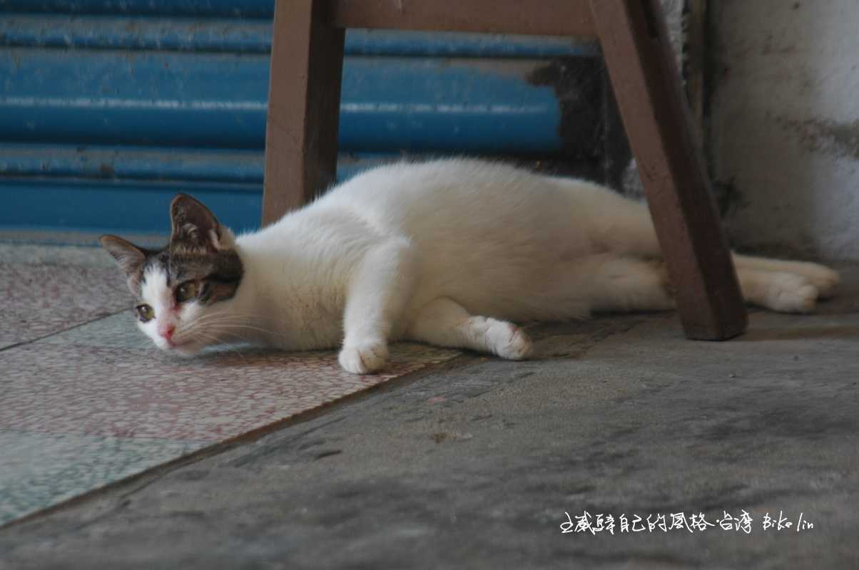 自得其樂卻吸住旅人