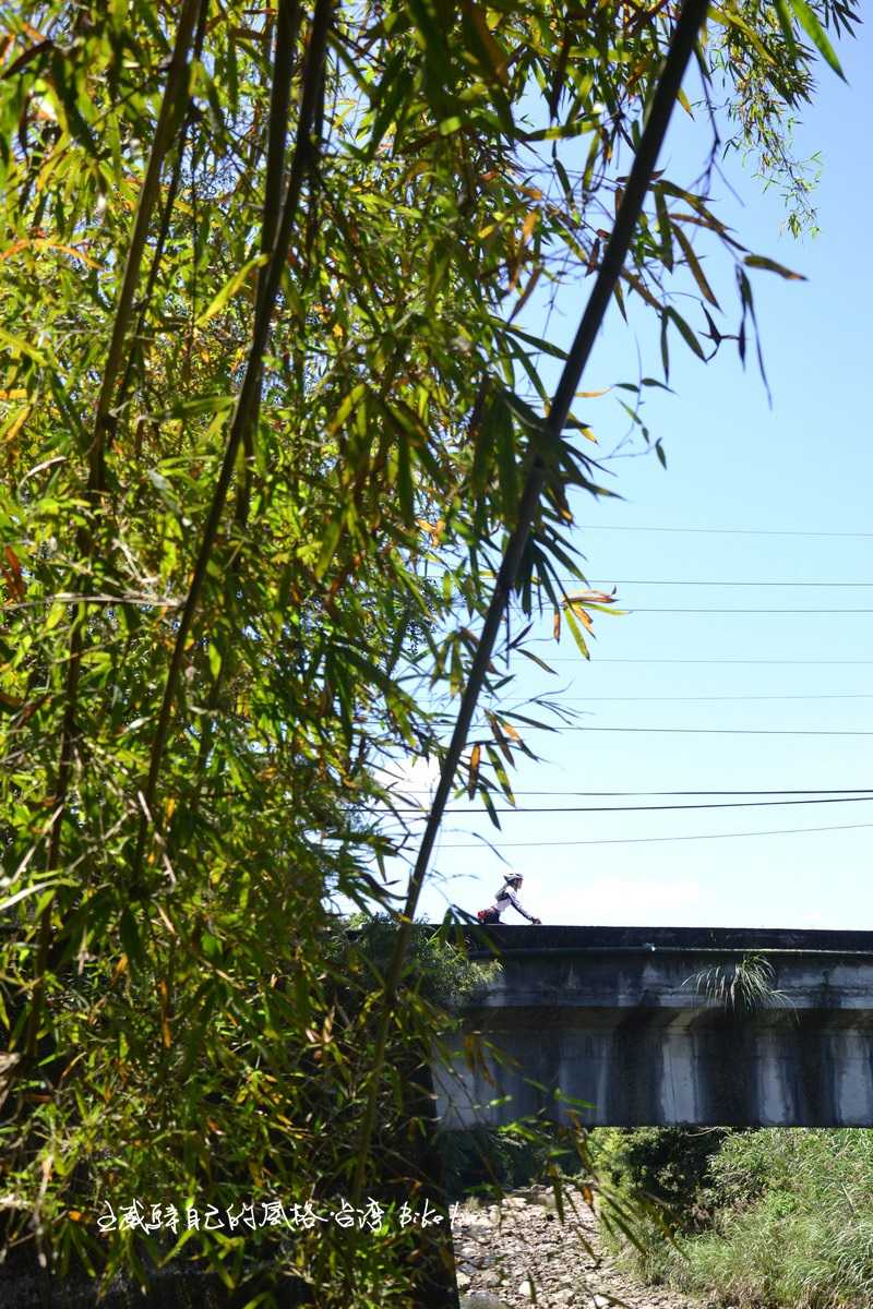 穿繞翠竹林梅竹蹊路