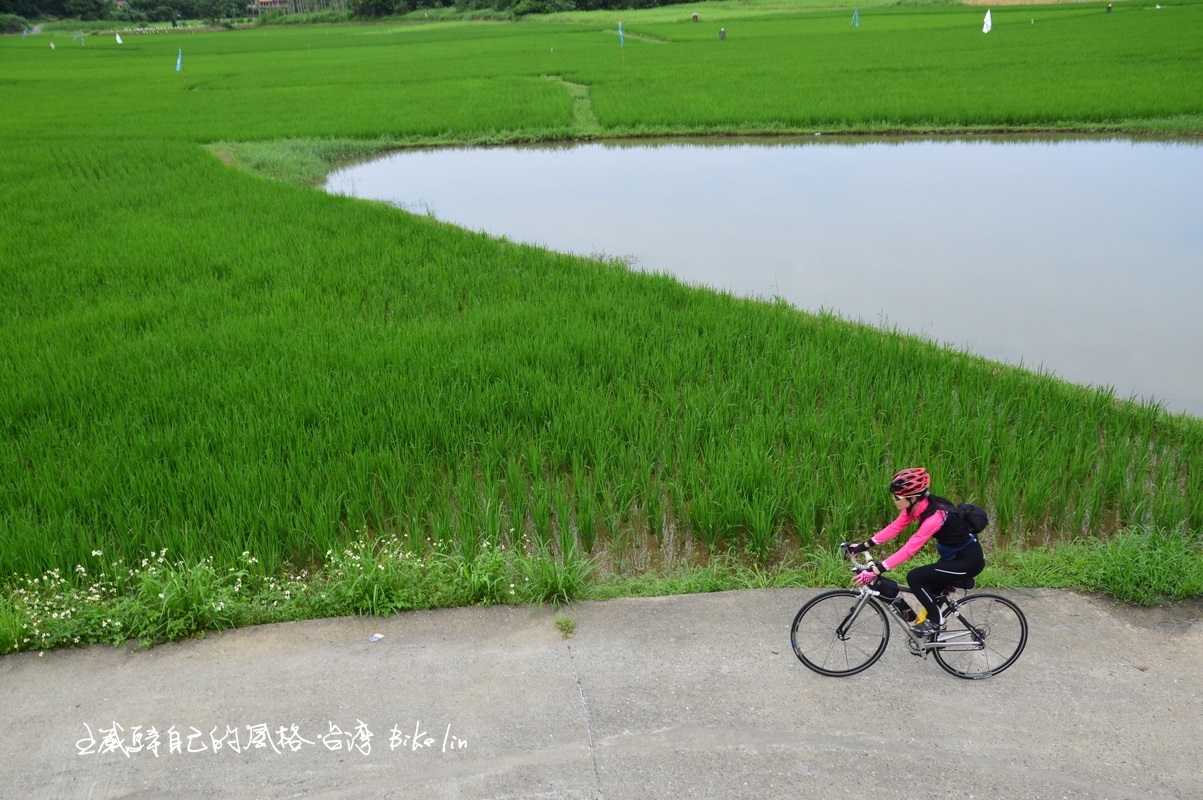 雙溪河迴彎天然濕地平原「田寮洋」