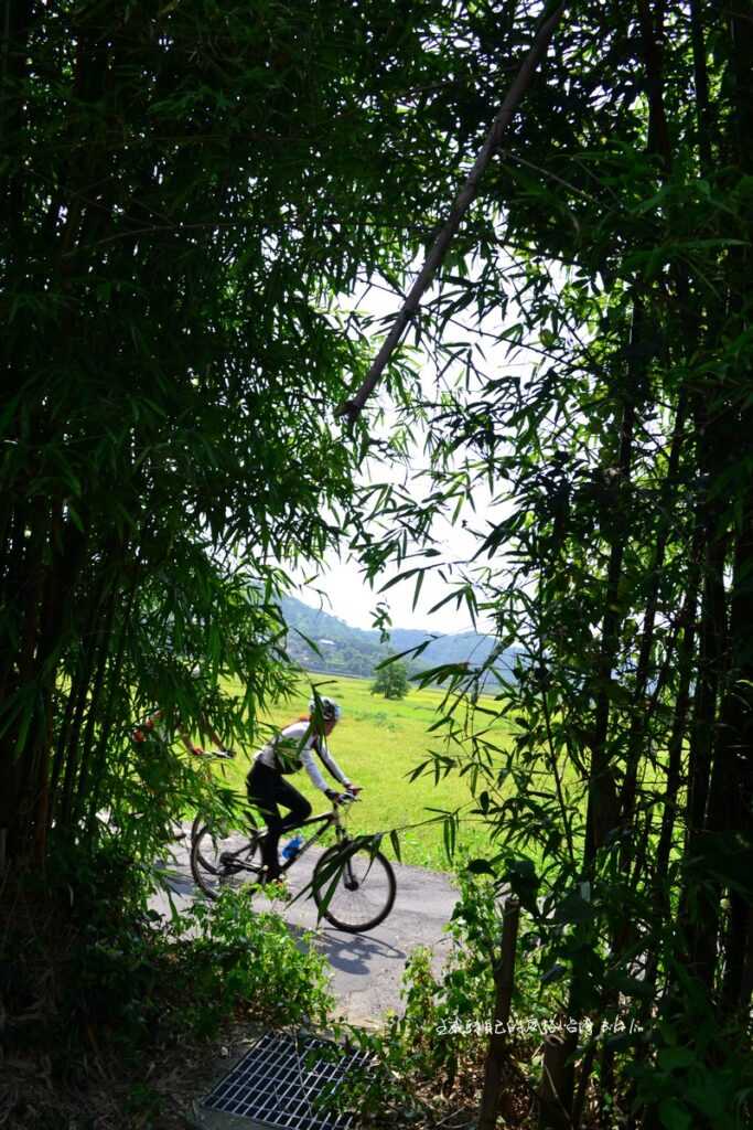 從透出的綠翠竹林抓住夥伴順過的勁道