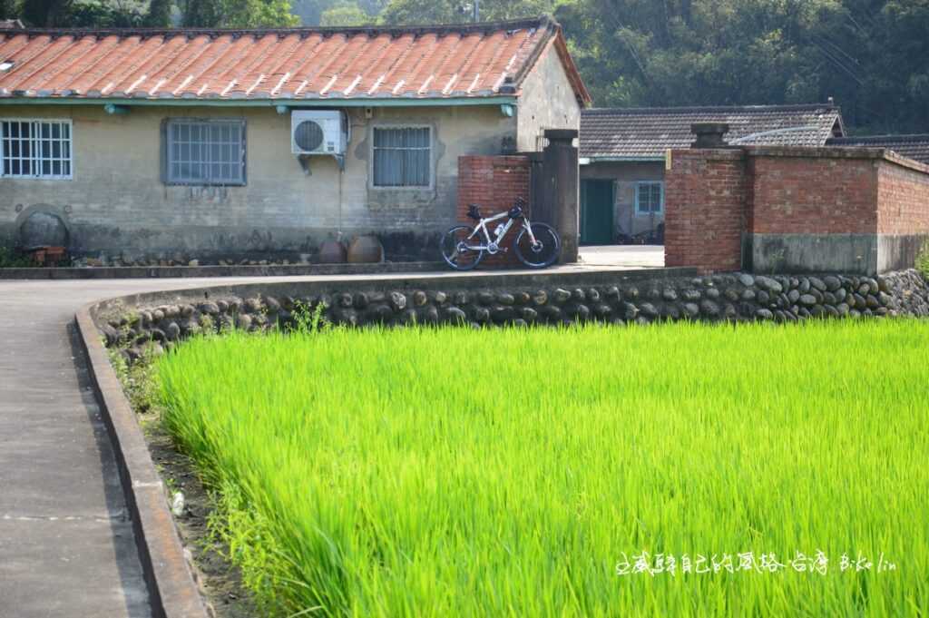 西湖下埔村田野