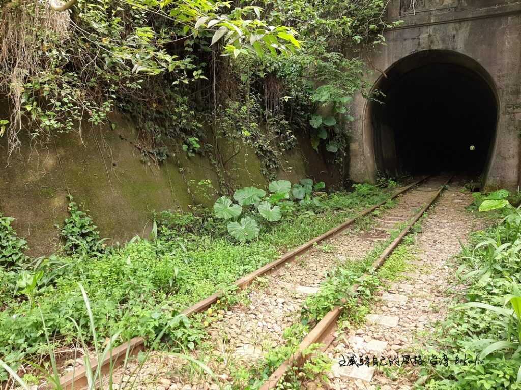 不輕易面對世人「舊山線八號隧道」