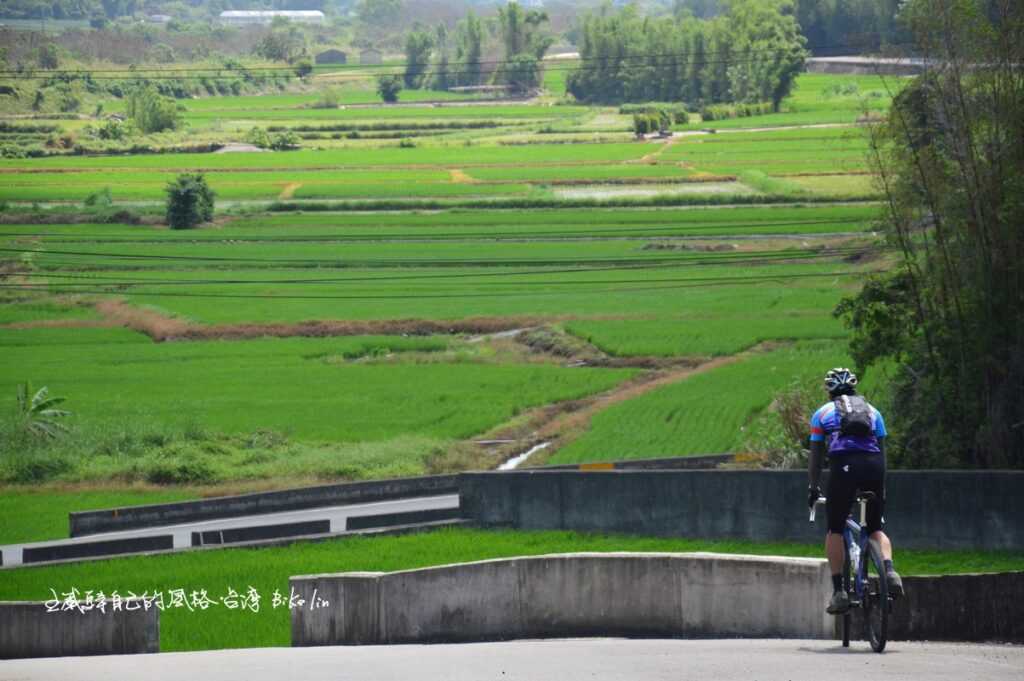 西湖大竹圍田野