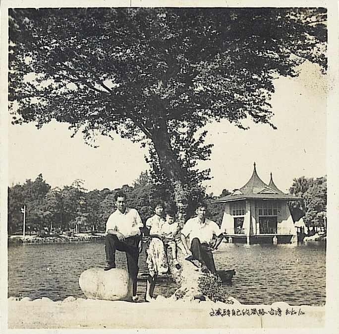 台中公園雙併尖頂湖心亭對面童年那棵老樹的記憶