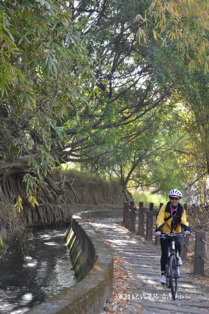 登山車寬胎的路徑