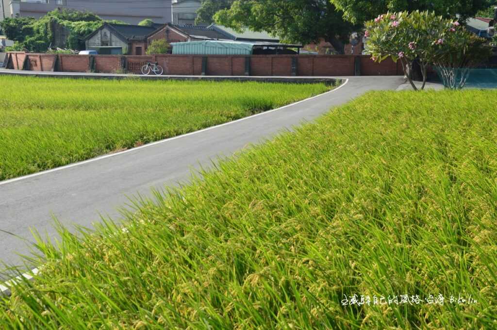 「陳若時故居」延展「王田圳田野」