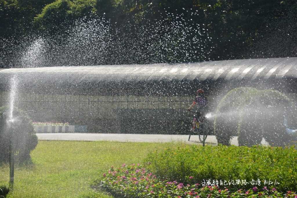 適時迷霧奇景讓暑氣全消