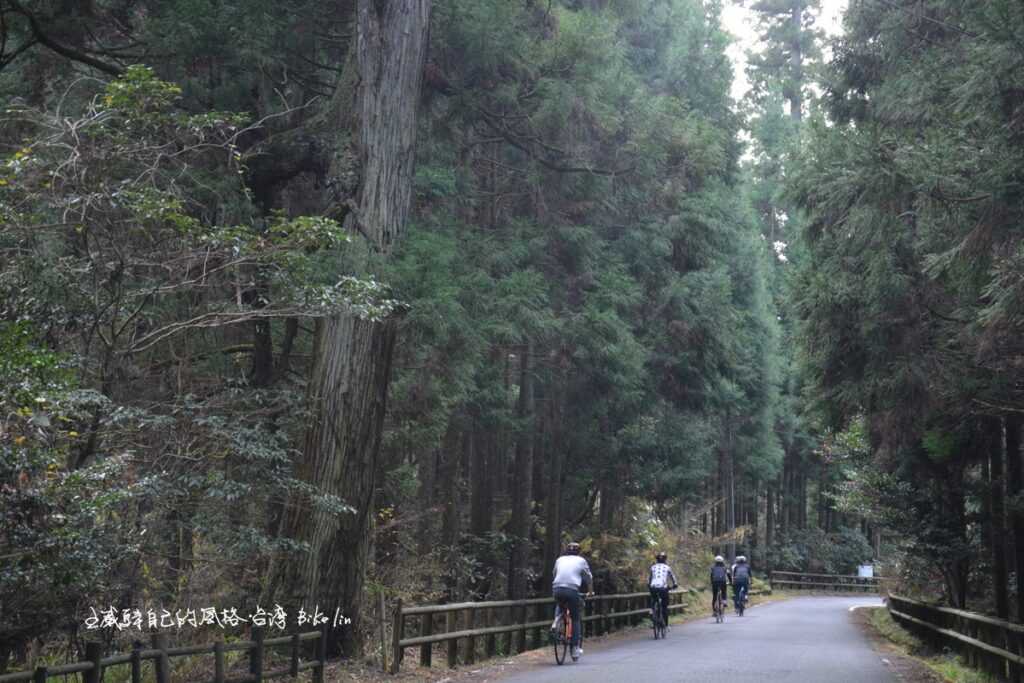 小石原村林間快感