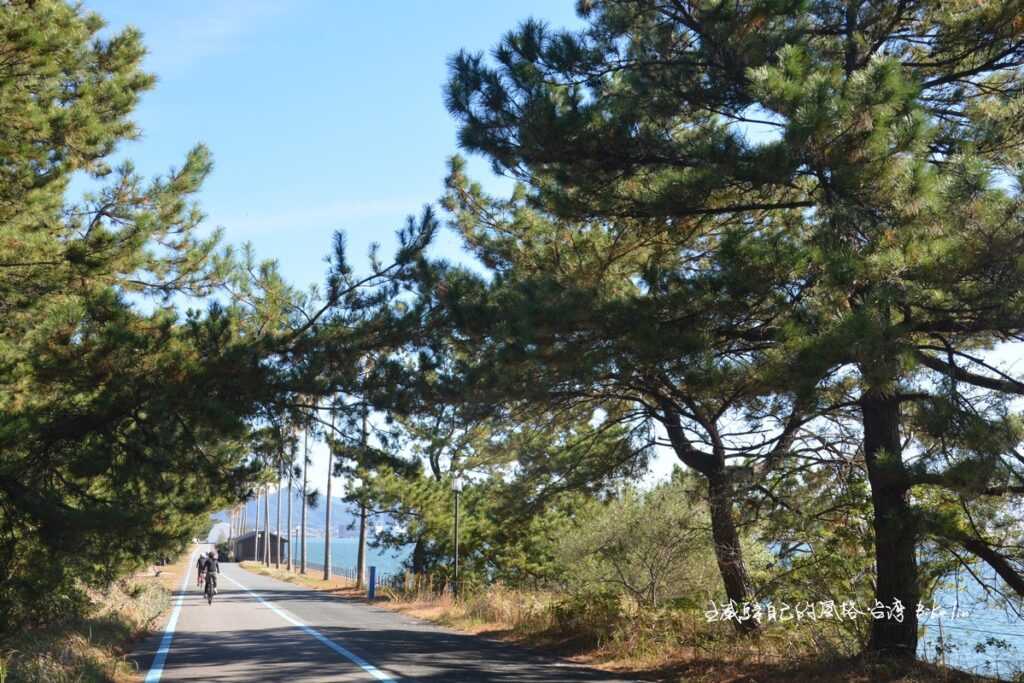 松風相伴國度「海中道濱海公園」