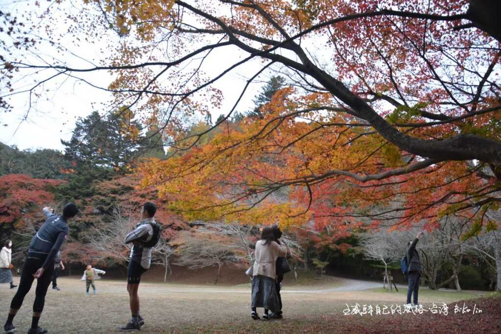 不思議！這兩位居然傾斜吸住