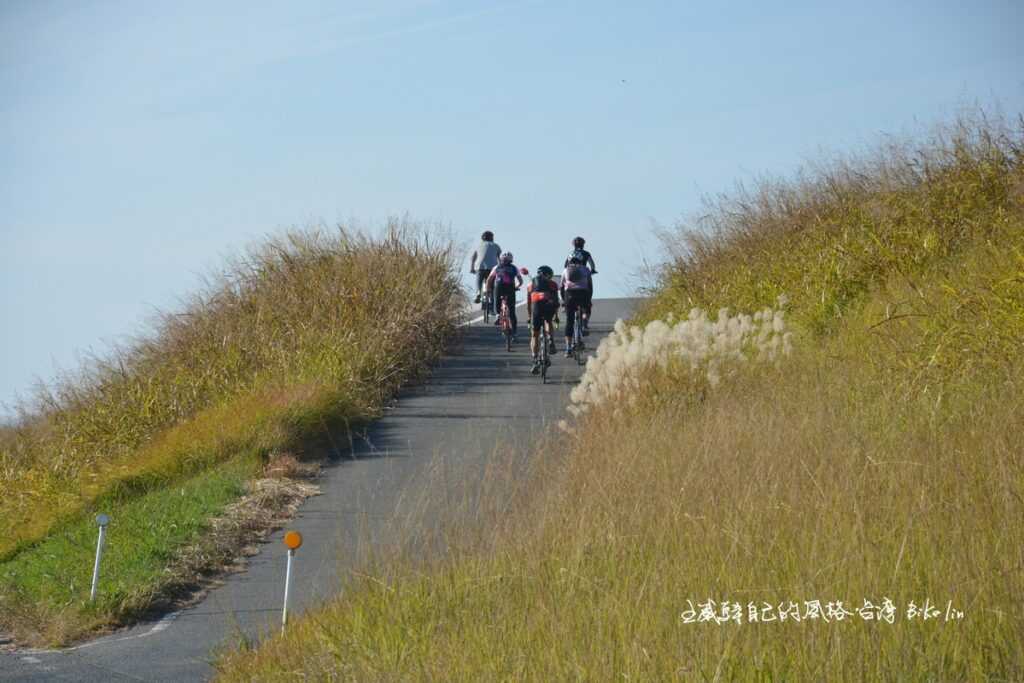 筑後川河岸風情畫 