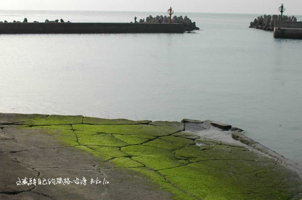 斑駁青苔紋路「麟山鼻漁港」