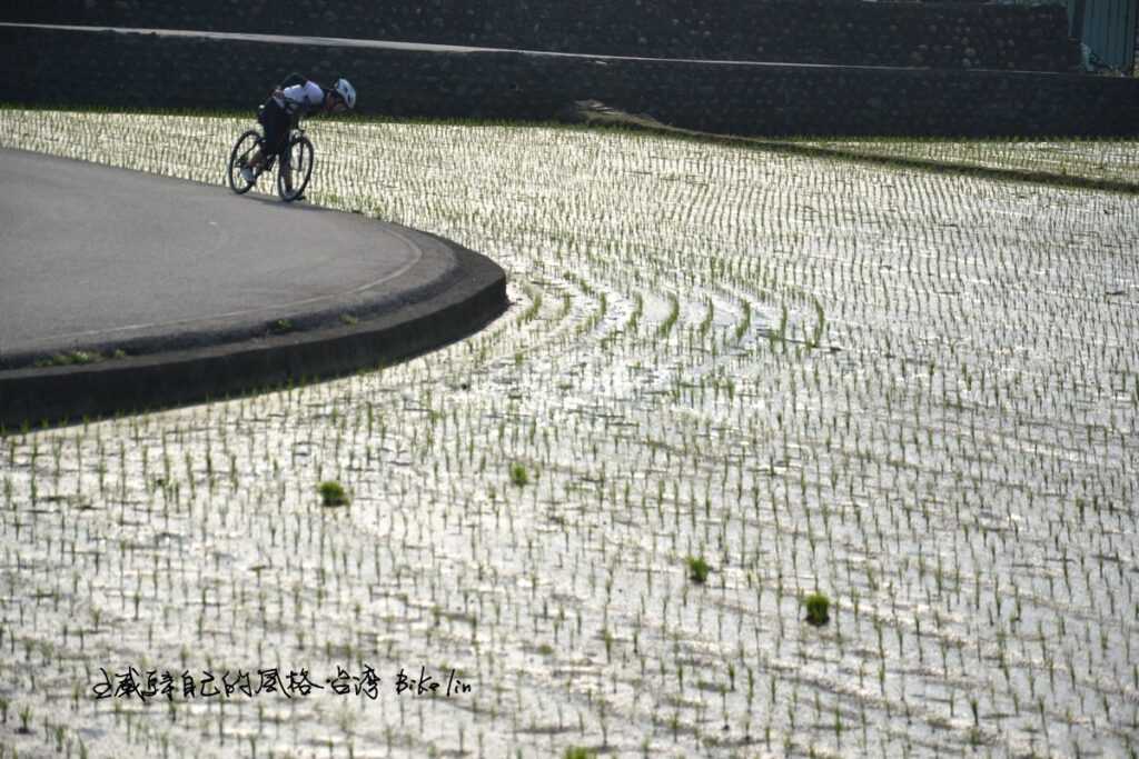 圓弧狀綠油油「民主公王口田野」呼吸感