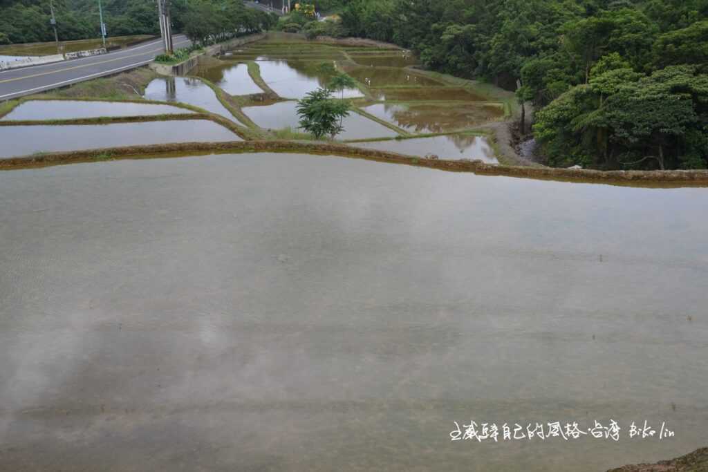 另類水田「重光南勢湖田野」