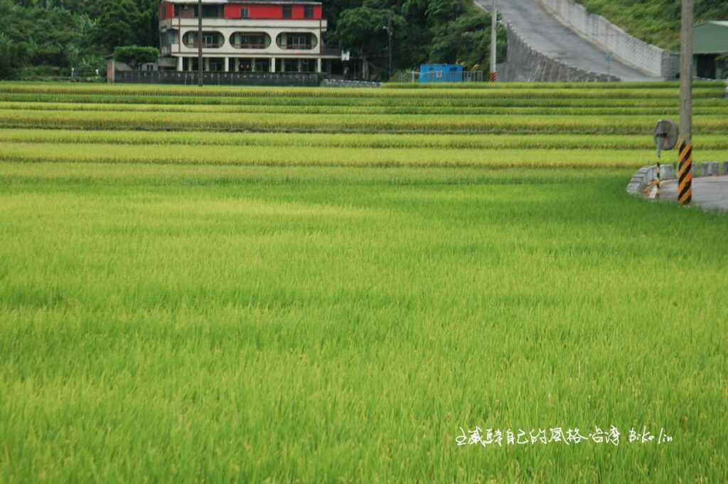 層次堆疊綠野「南勢湖田園」