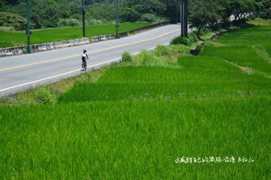 閃眼台2甲陽金公路「重光南勢湖田野」
