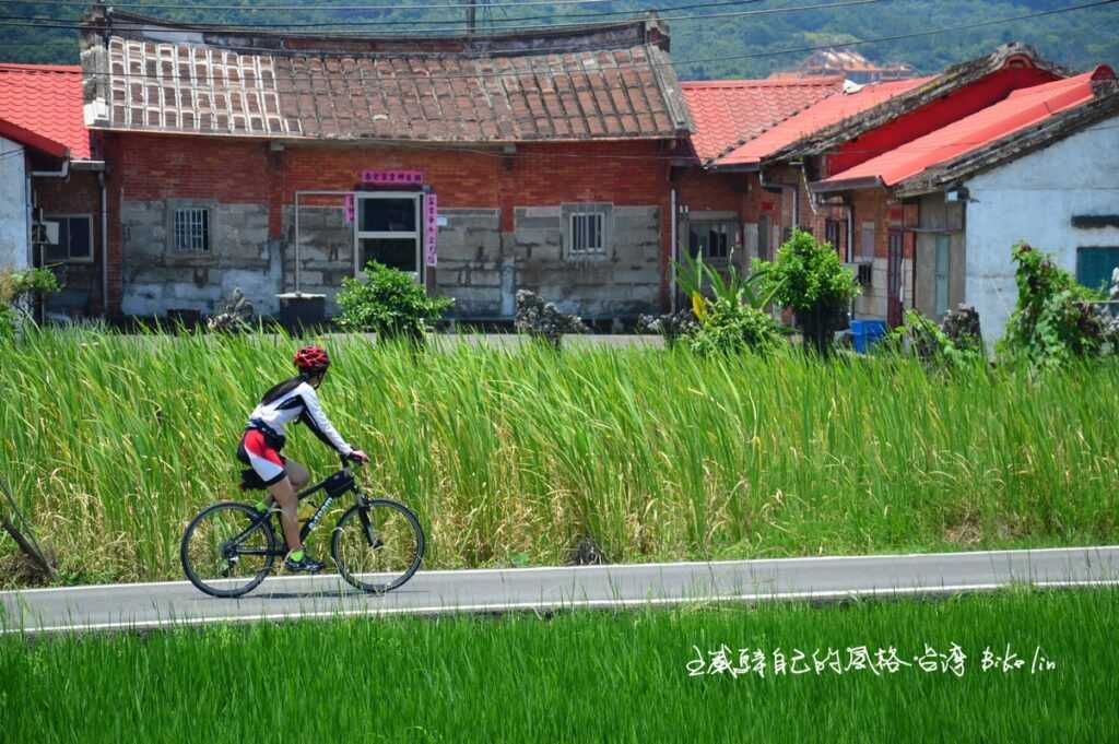 清水濕地再次吸睛金山老厝