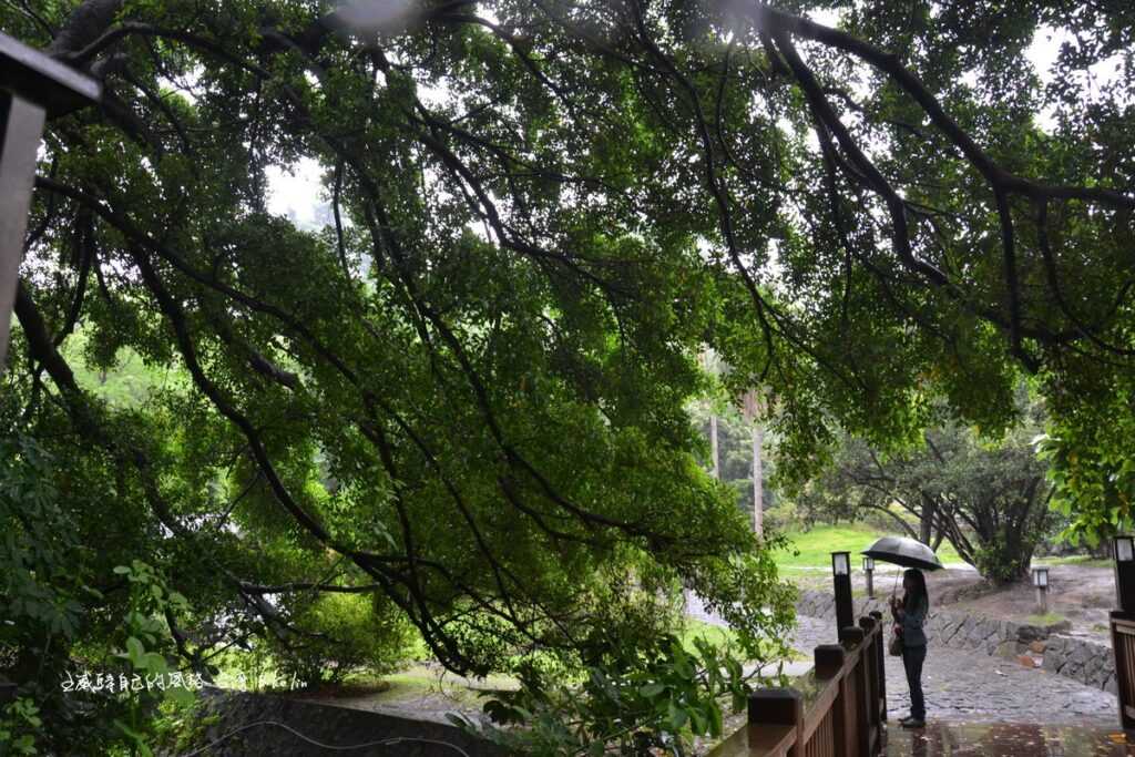 雨後北投溫泉博物館旁清新綠