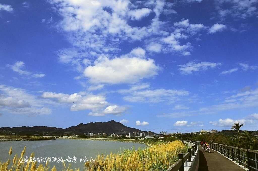 關渡河岸本色 