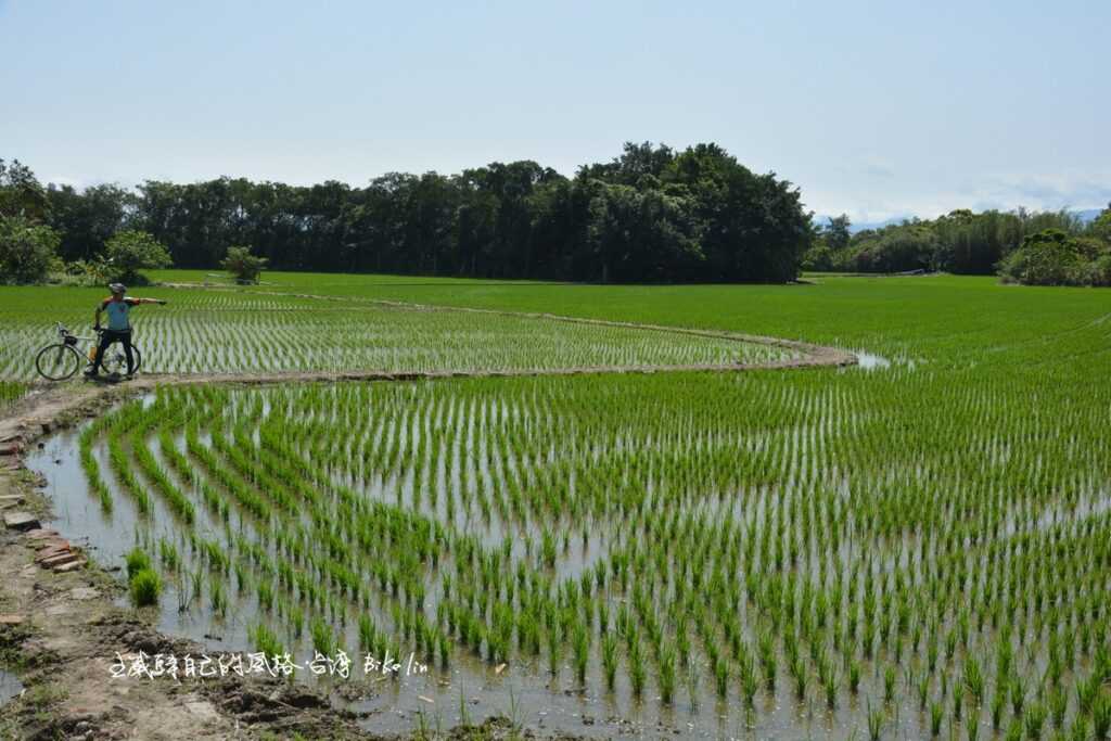 秘境水磨坑溪田野 