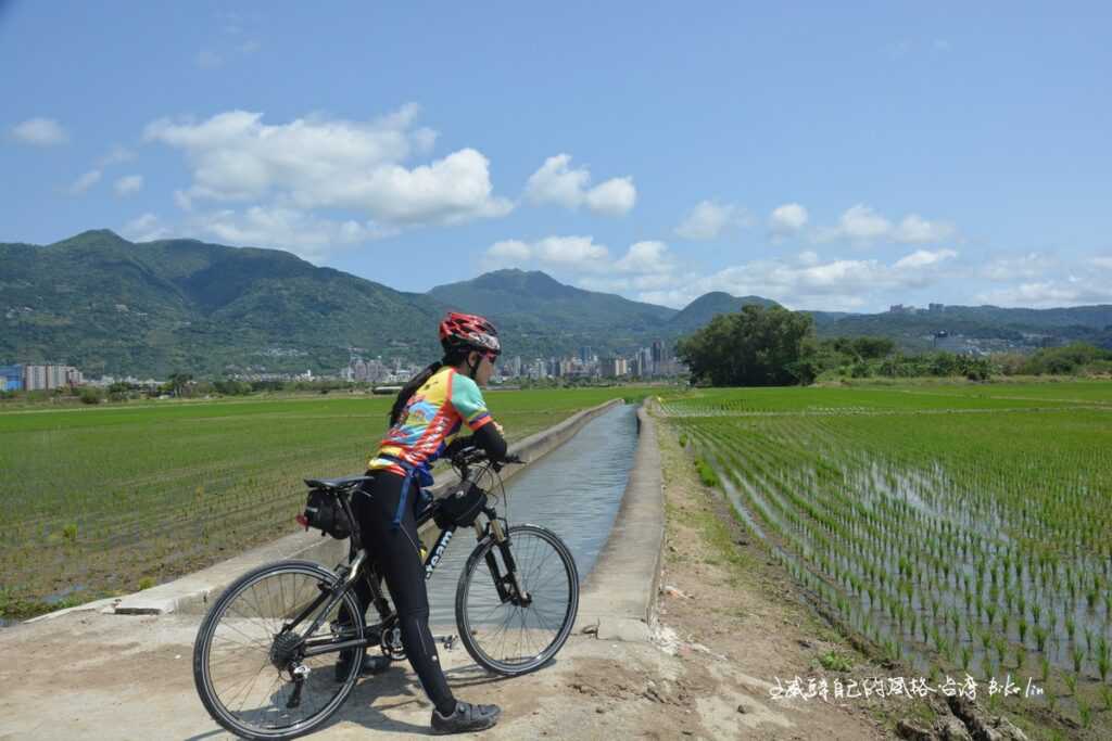 三百六十度大迴轉滿滿呼吸「關渡平原田中央」