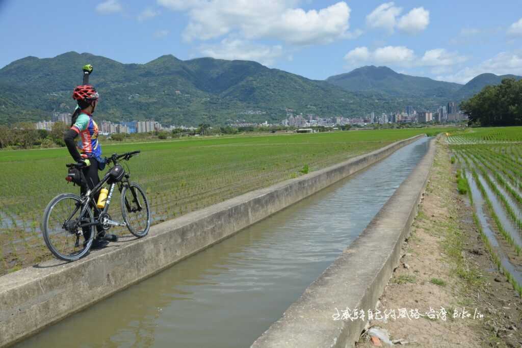 意猶未盡踏實「關渡平原」田中央