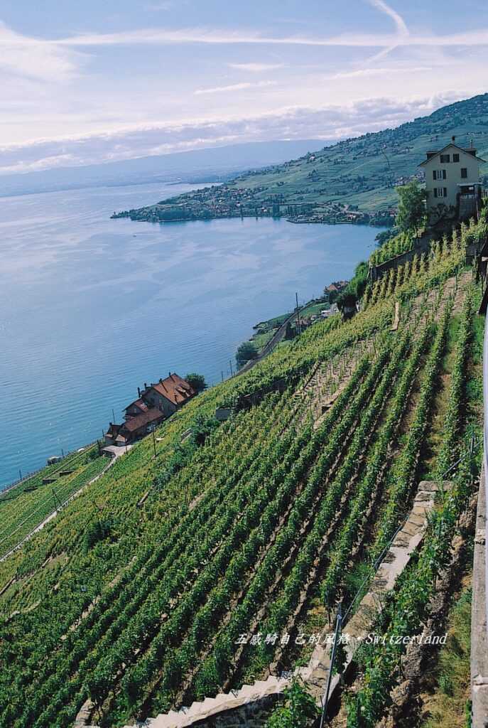 「謝布爾Chexbres」拉沃葡萄園梯田(Lavaux vineyard terraces)  