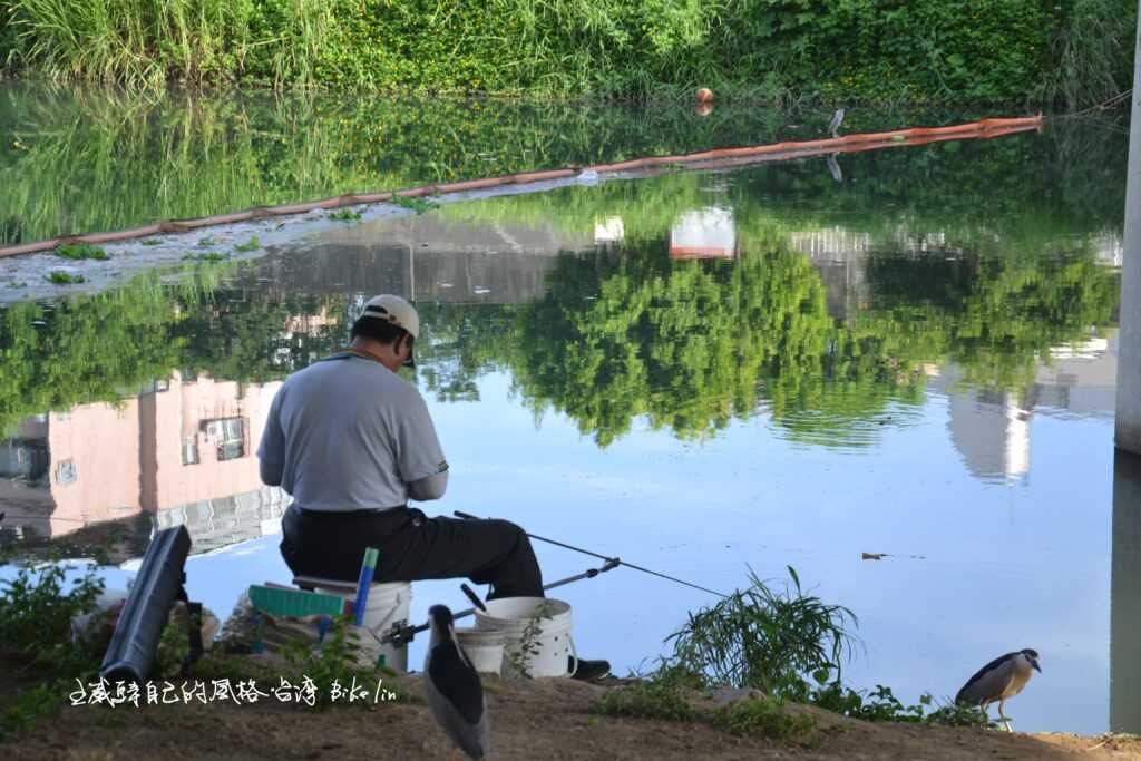 釣上鉤的是心靜的水鏡