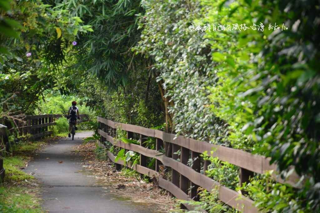 大台北河濱稀有翠竹林自行車道