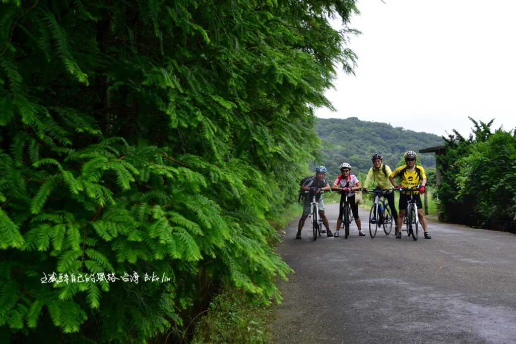 夏日水杉園還原「綠」點將錄