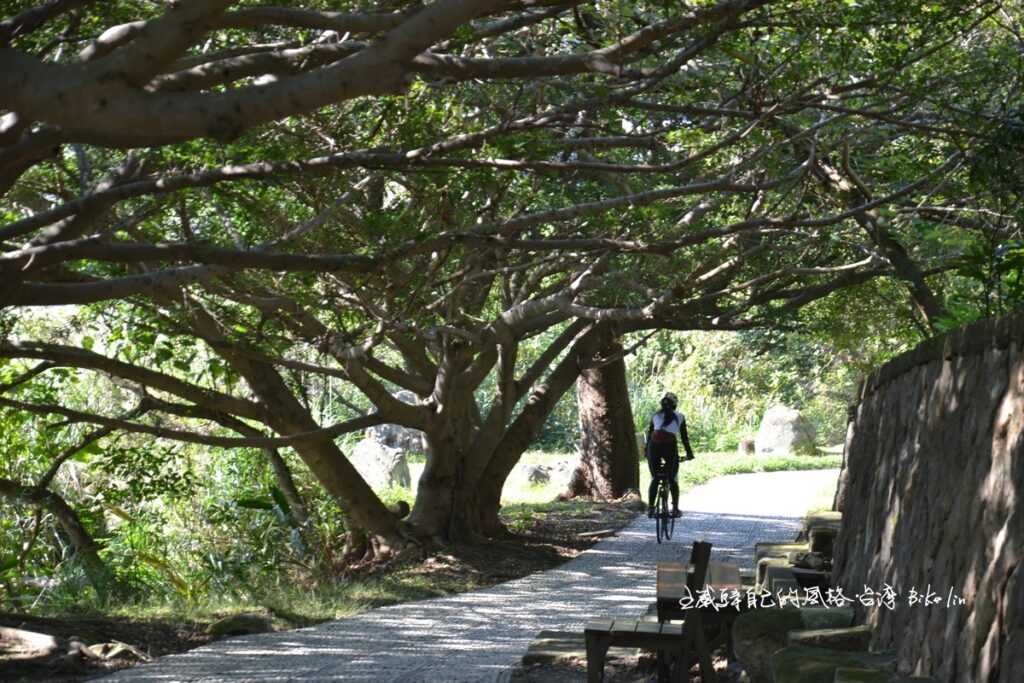 泉源路綠蔭隧道