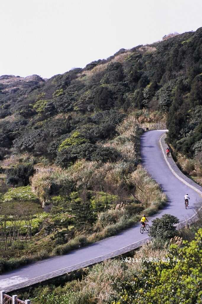 靜下心來才能感覺旅途中最珍貴的寂靜視野
