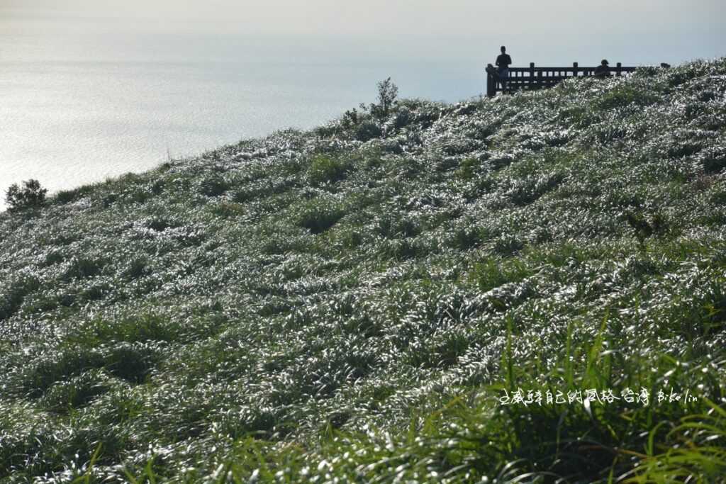 從大屯山助航台望向「大屯山觀景台」跳躍閃綠 