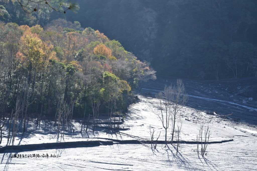 被土石流偷走高度的楓林監測樣區