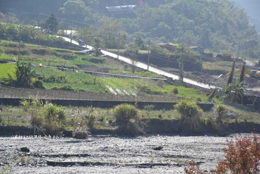 橋頭另一端卻又是萬豐村綠植栽對比