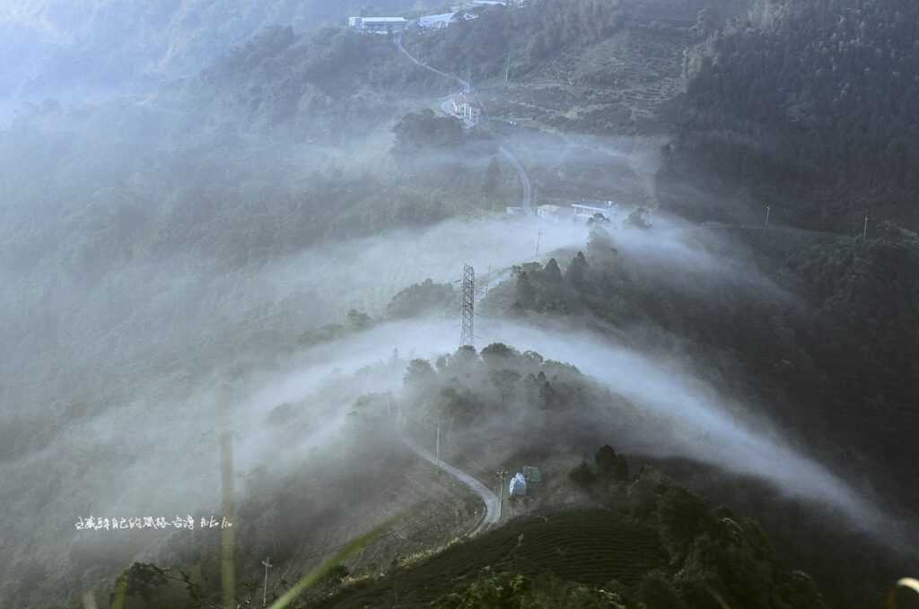 清晨「武界嶺」雲海緩緩飄下山