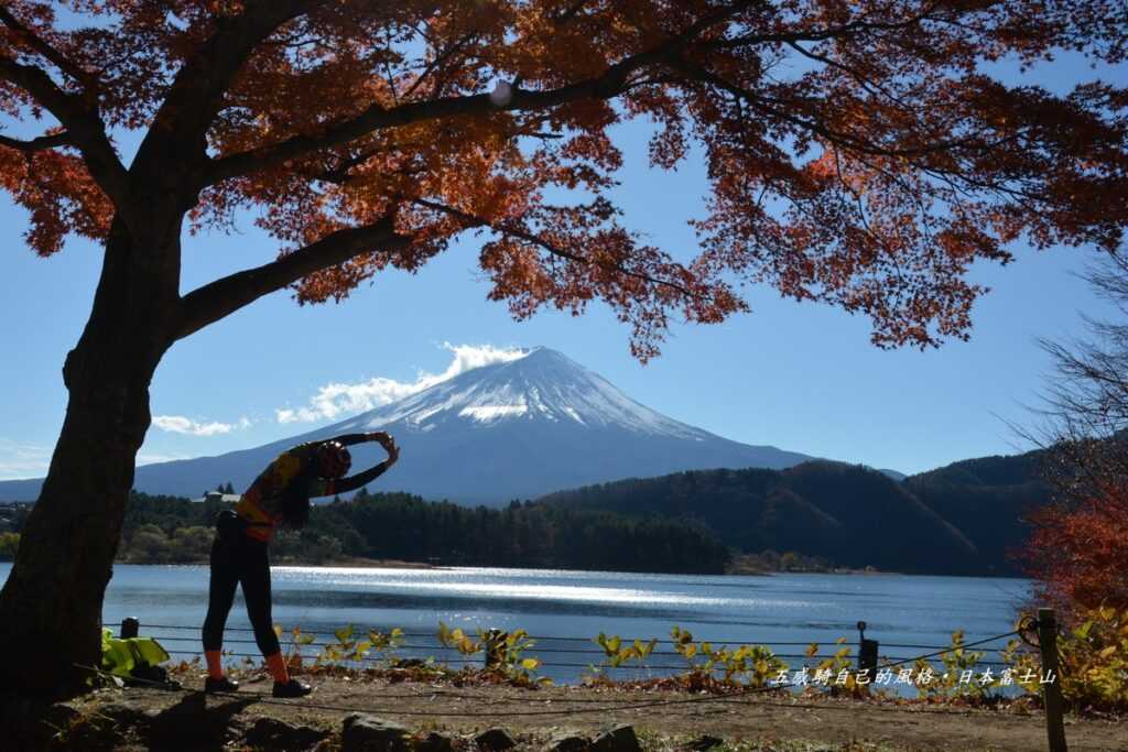 河口湖水岸「楓葉迴廊」最後一抹楓紅彎身搖拽緩緩飄落富士山窒息美