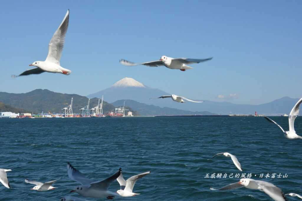在清水港渡輪上像自在飛翔海鷗一樣展開Cycling富士山