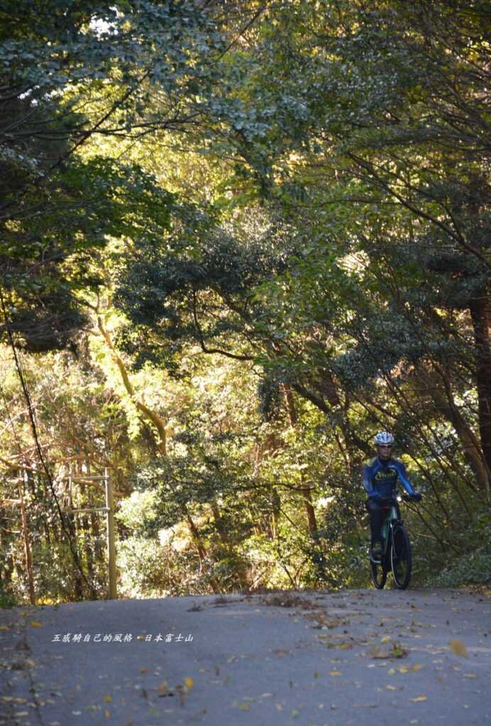 上回沒騎E bike艱辛上「薩埵嶺」湧上心頭