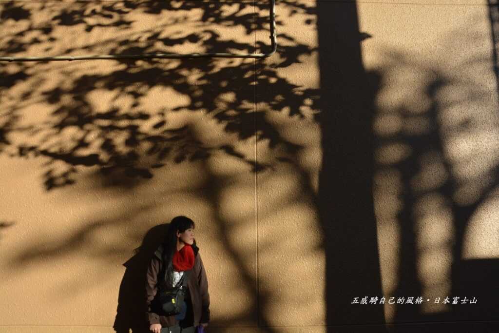 再回到掛川市區，尋覓的溫馨光影更是我們另一個回味感覺的開始！